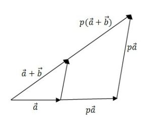ریاضی - بردار ها - معادلات خط و صفحه - قوانین بخش پذیری
