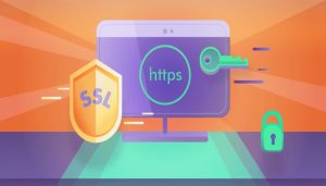گواهینامه SSL - تاثیر SSL بر سئو سایت